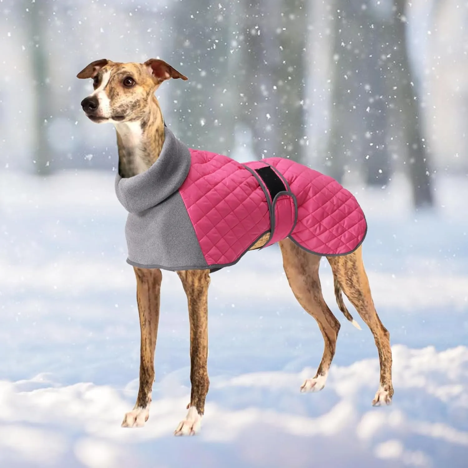 Italian Greyhound Clothes,Greyhound Winter Coat with Warm Fleece, Whippet Sweater for Dogs Anxiety,Medium Large Dog Pajamas Coats Adjustable Sweaters (Pink, Small)