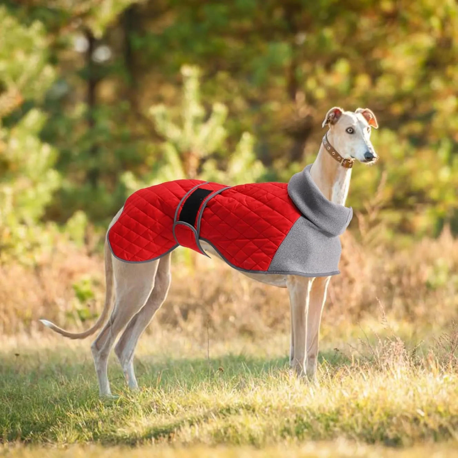 Italian Greyhound Clothes,Greyhound Winter Coat with Warm Fleece, Whippet Sweater for Dogs Anxiety,Medium Large Dog Pajamas Coats Adjustable Sweaters (Red, Small)