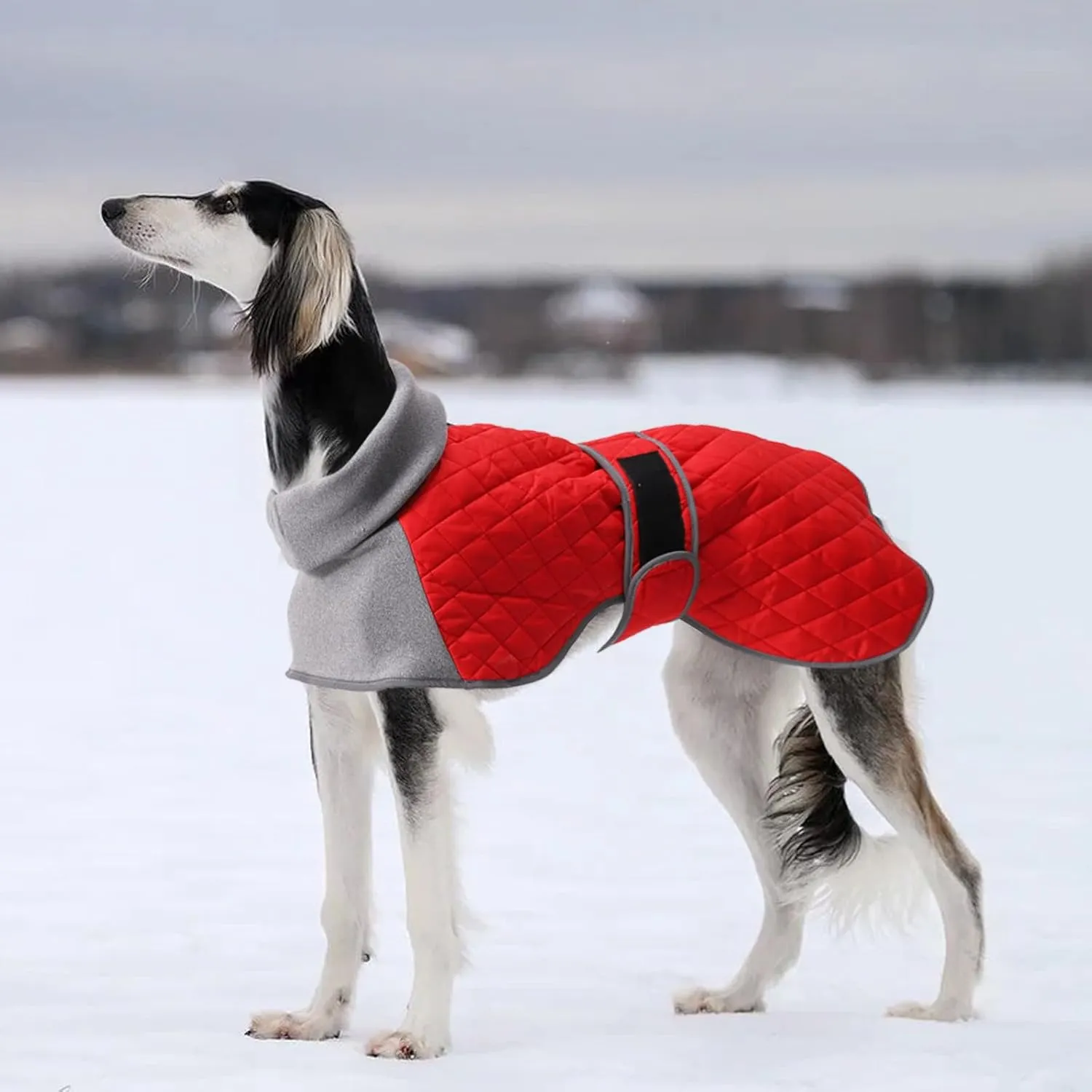 Italian Greyhound Clothes,Greyhound Winter Coat with Warm Fleece, Whippet Sweater for Dogs Anxiety,Medium Large Dog Pajamas Coats Adjustable Sweaters (Red, Small)