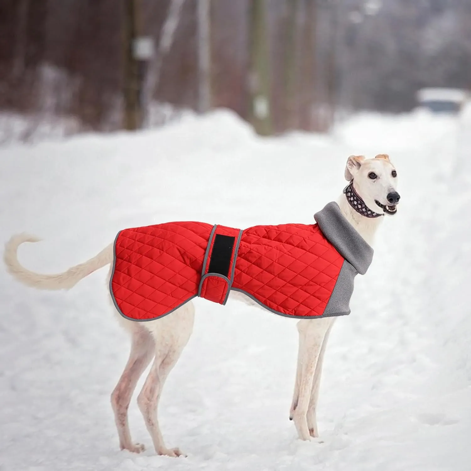 Italian Greyhound Clothes,Greyhound Winter Coat with Warm Fleece, Whippet Sweater for Dogs Anxiety,Medium Large Dog Pajamas Coats Adjustable Sweaters (Red, Small)