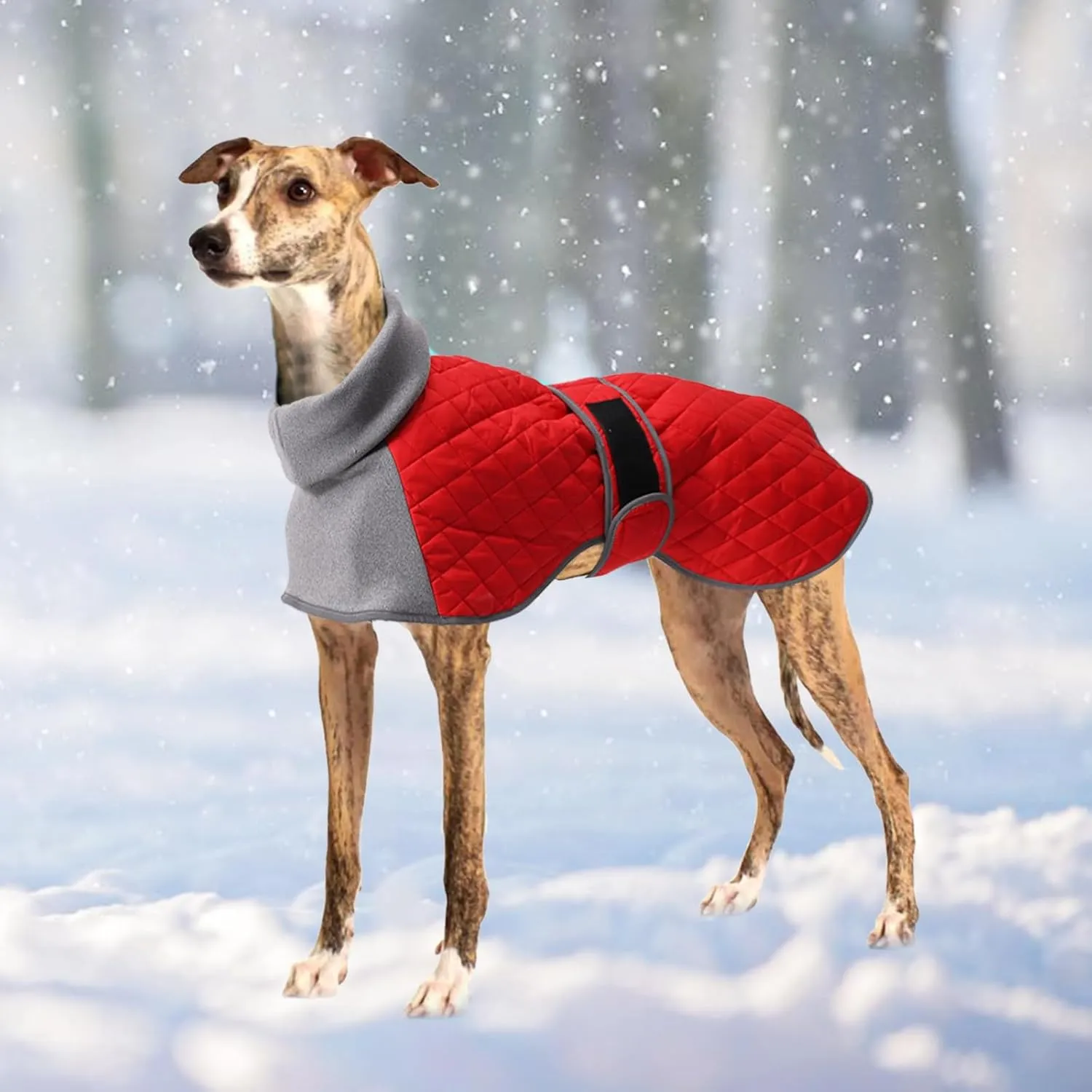 Italian Greyhound Clothes,Greyhound Winter Coat with Warm Fleece, Whippet Sweater for Dogs Anxiety,Medium Large Dog Pajamas Coats Adjustable Sweaters (Red, Small)