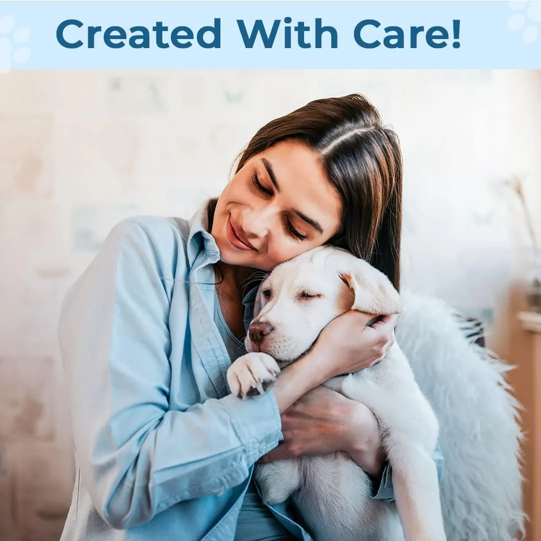 Kuber Industries Rectangular Dog & Cat Bed|Premium Cool Ice Silk Polyester With Bottom Mesh|MultiUtility Self-Cooling Pad For Dog & Cat|Light-weight & Durable Dog Bed|ZQCJ001LB-L|Light Blue(Pack Of 5)