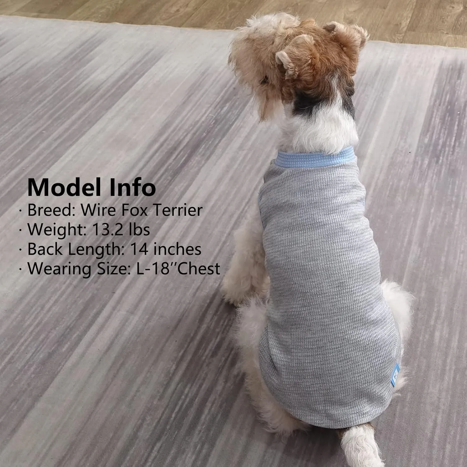 KYEESE 2Pack Dog Shirts Waffle for Small Dogs Stretchy T-Shirts Lightweight Tank Top Sleeveless Vest Breathable Cat Tee, Medium, Blue Grey