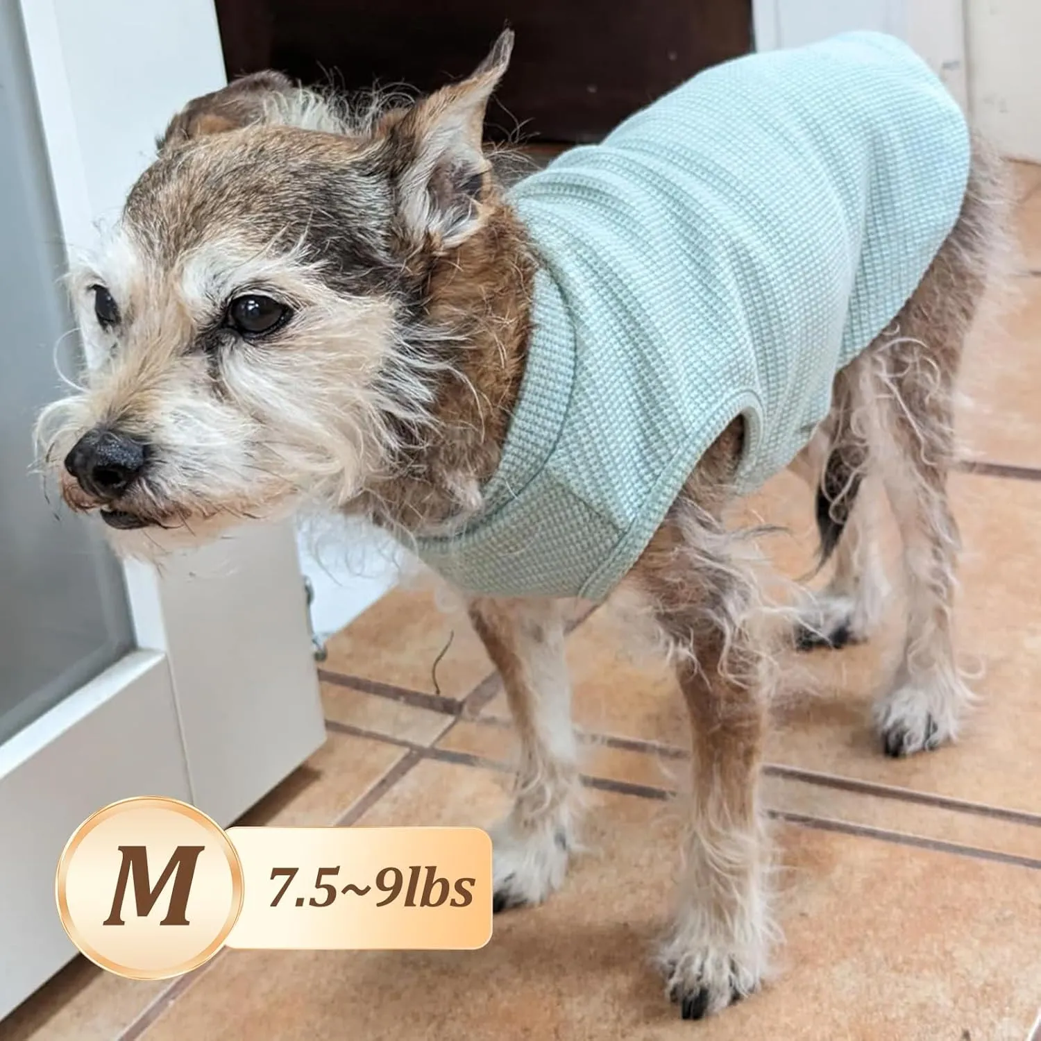 KYEESE 2Pack Dog Shirts Waffle for Small Dogs Stretchy T-Shirts Lightweight Tank Top Sleeveless Vest Breathable Cat Tee, Medium, Blue Grey