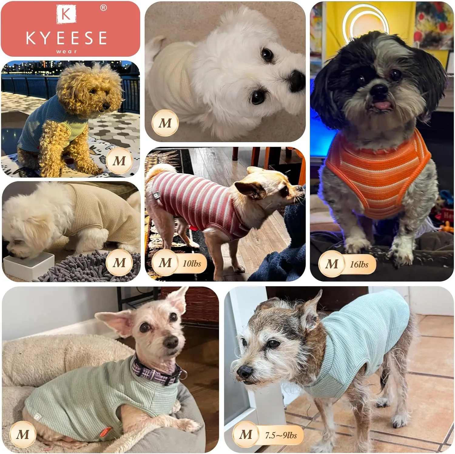 KYEESE 2Pack Dog Shirts Waffle for Small Dogs Stretchy T-Shirts Lightweight Tank Top Sleeveless Vest Breathable Cat Tee, Medium, Blue Grey