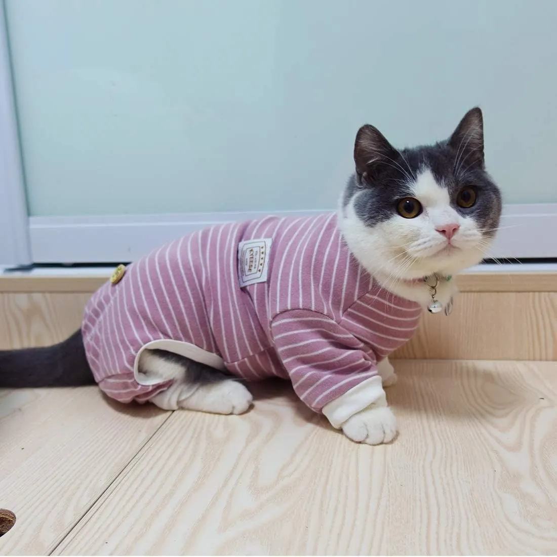 KYEESE Dog Pajamas Stretchable Dog Jumpsuit 4 Legs Strip PJS Pet Puppy Cat Pajamas Lightweight
