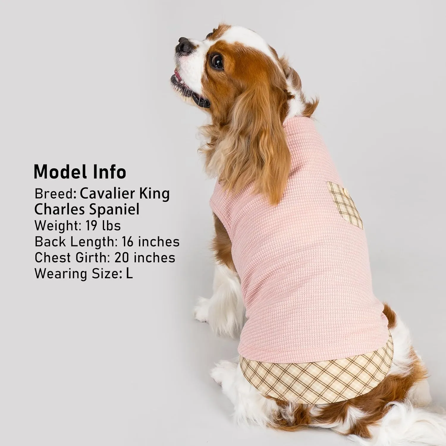KYEESE Waffle Dog Shirts for Small Dogs Soft Stretchy T-Shirts Lightweight Puppy Tank Top Sleeveless Pet Vest with Cute Pocket and Plaid Patchwork for Daily Wear, Large