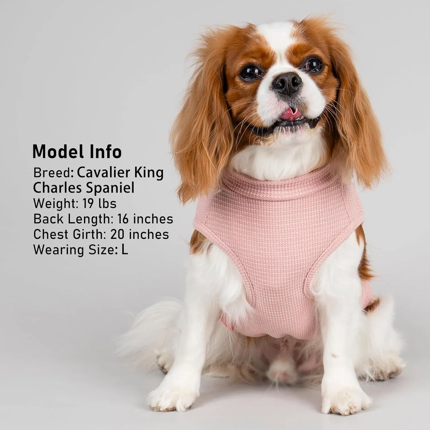 KYEESE Waffle Dog Shirts for Small Dogs Soft Stretchy T-Shirts Lightweight Puppy Tank Top Sleeveless Pet Vest with Cute Pocket and Plaid Patchwork for Daily Wear, Large