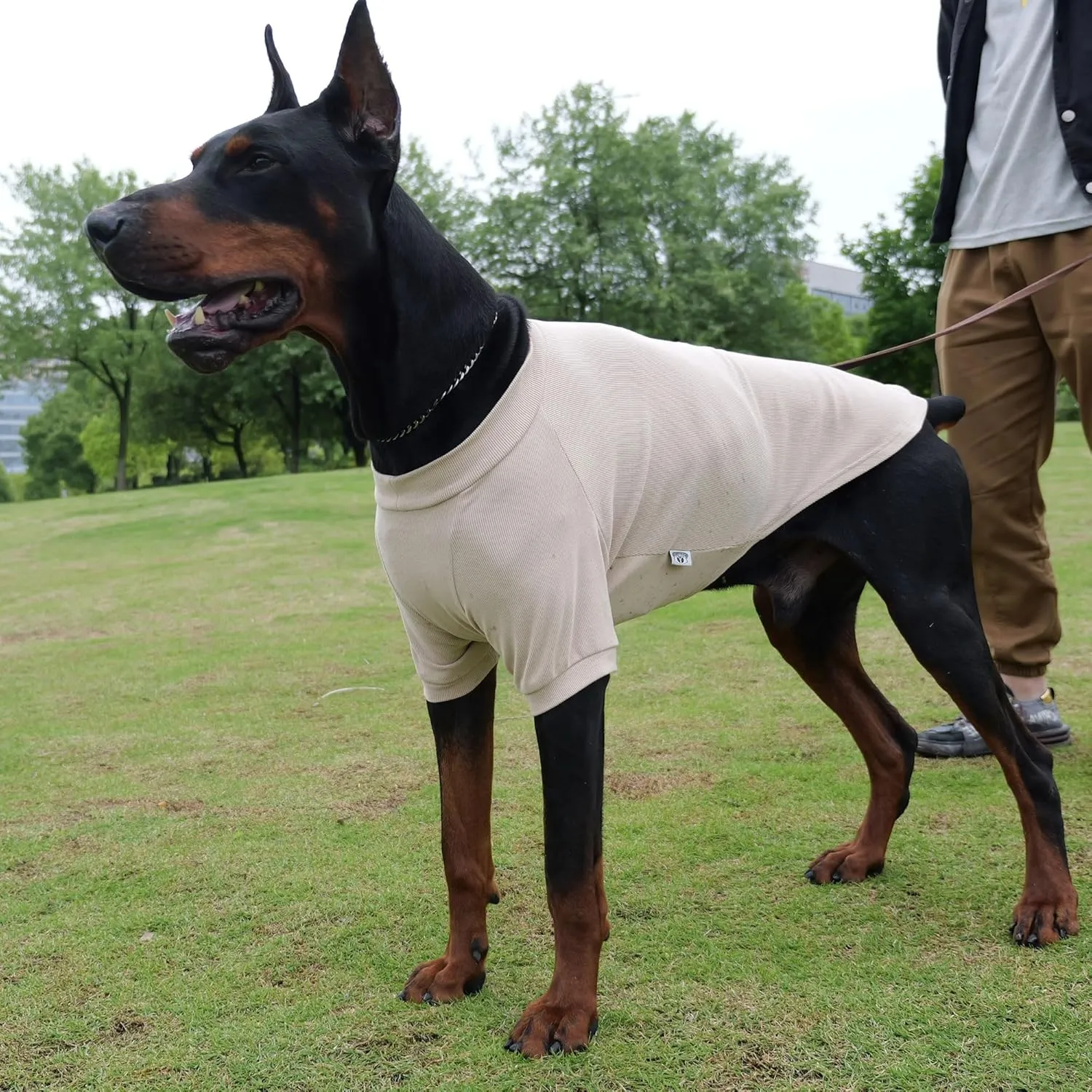 Lovelonglong Ribbed Dog T-Shirt Cotton Knitted Dog Sweaters for All Season Pet T-Shirts for Large Medium Small Dogs Beige 3XL
