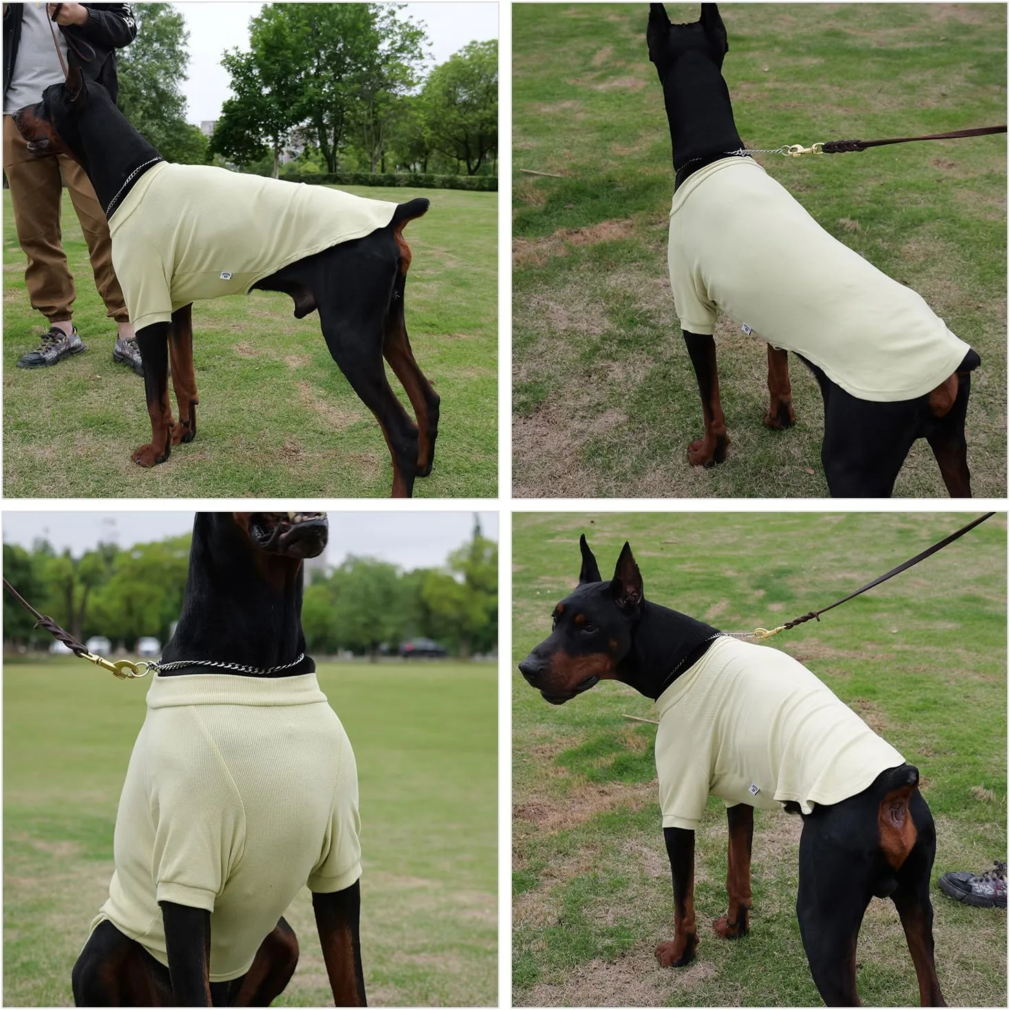 Lovelonglong Ribbed Dog T-Shirt Cotton Knitted Dog Sweaters for All Season Pet T-Shirts for Large Medium Small Dogs Chartreuse 3XL