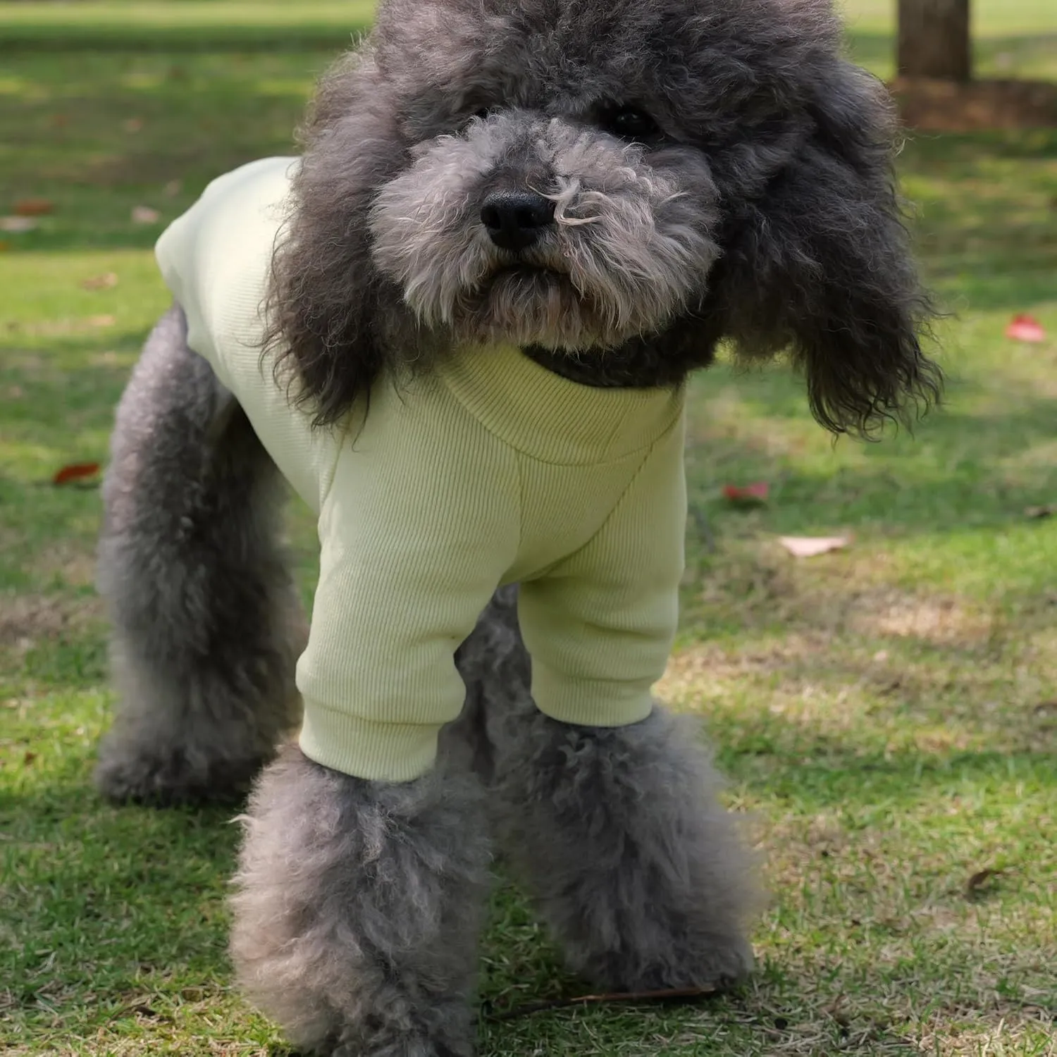 Lovelonglong Ribbed Dog T-Shirt Cotton Knitted Dog Sweaters for All Season Pet T-Shirts for Large Medium Small Dogs Chartreuse 3XL