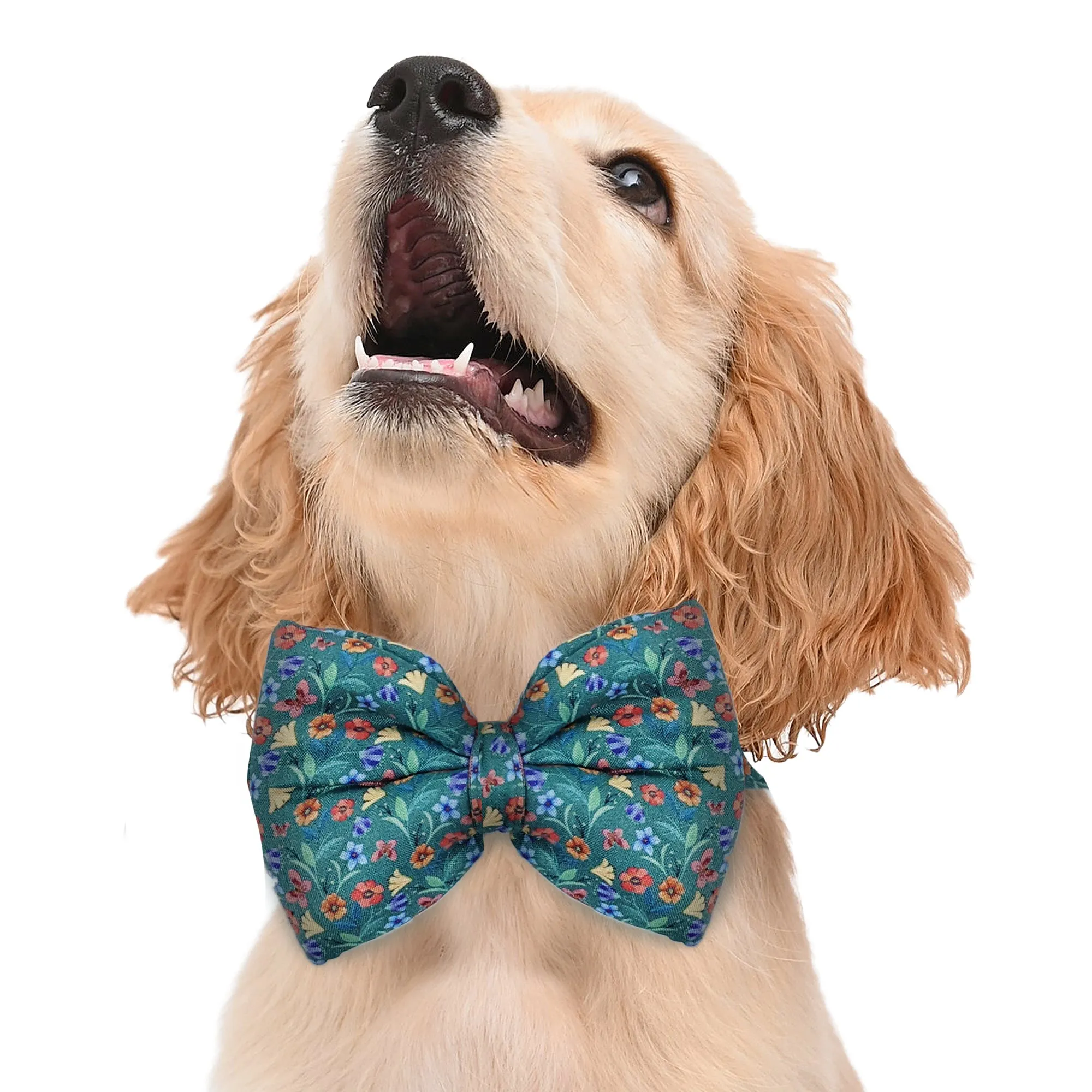 Matching Garden Green Dog Shirt & Dog Bow Tie  | Adjustable Bow Tie for Dogs | Breathable Fabric Shirt for Dogs