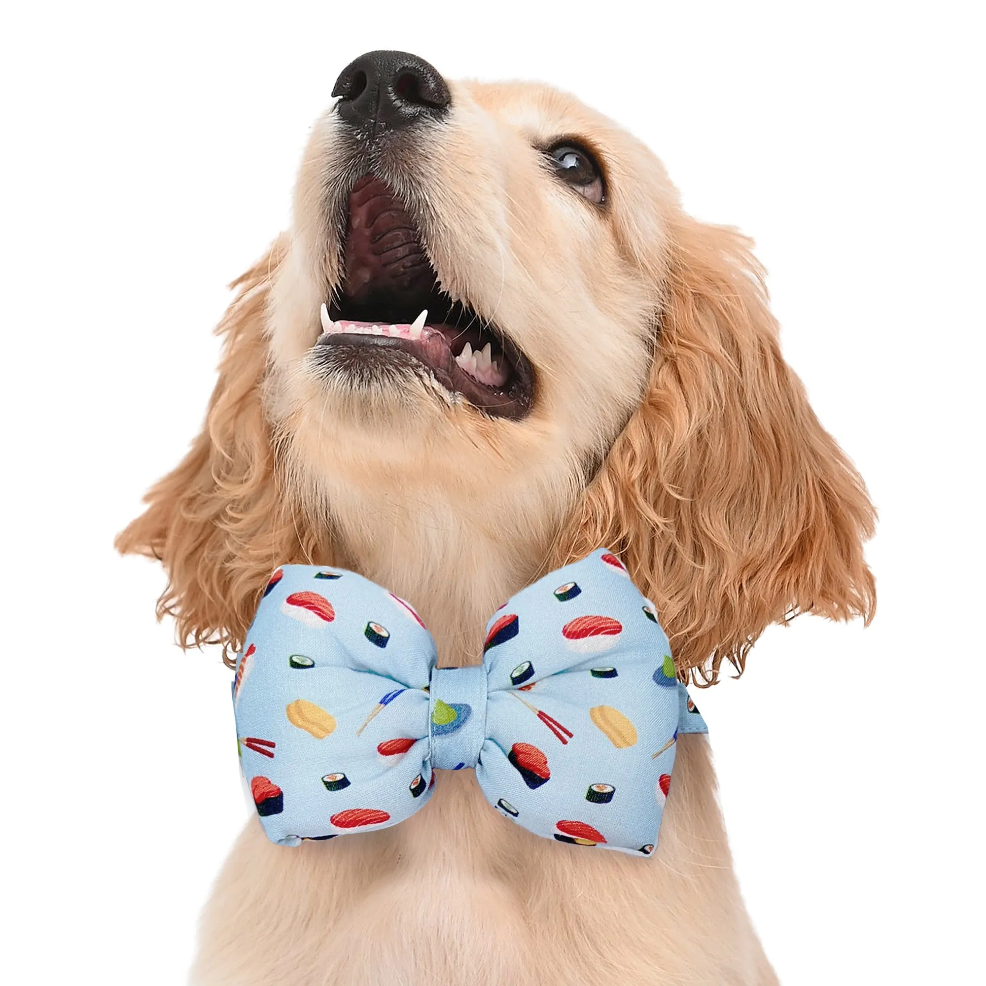 Matching Sushi Surprise Dog Shirt & Dog Bow Tie  | Adjustable Bow Tie for Dogs | Breathable Fabric Shirt for Dogs