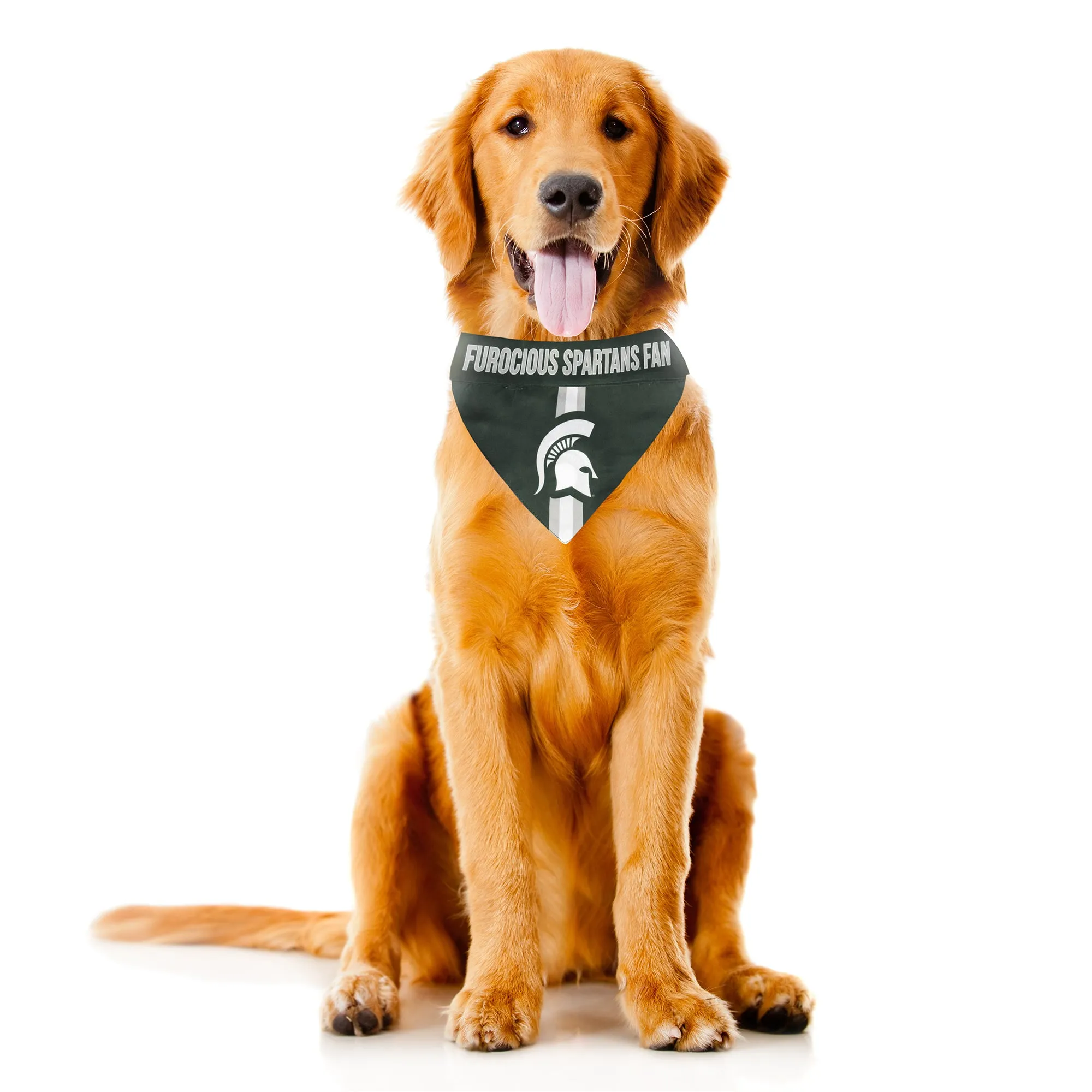 Michigan State University Pet Bandana