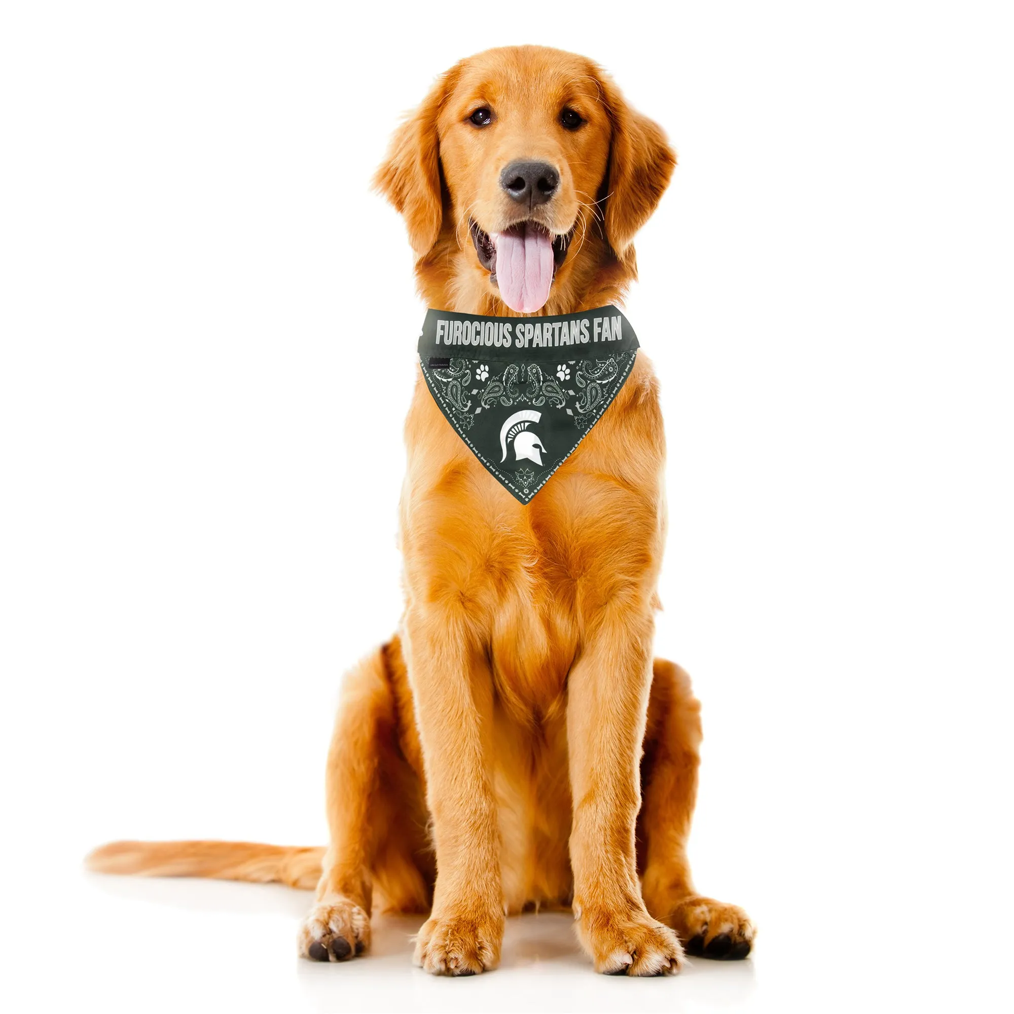 Michigan State University Pet Bandana