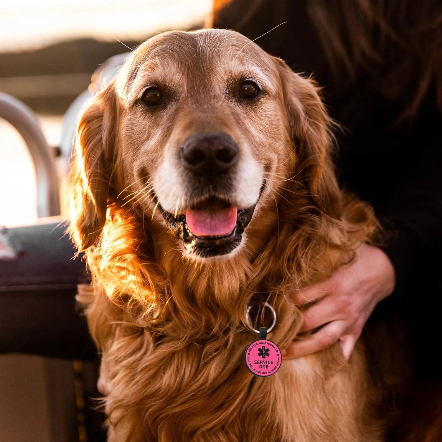 MYLUCKYTAG QR Code Service Dog Tag - Pet Online Profile - Scan QR Receive Instant Pet Location Alert Email