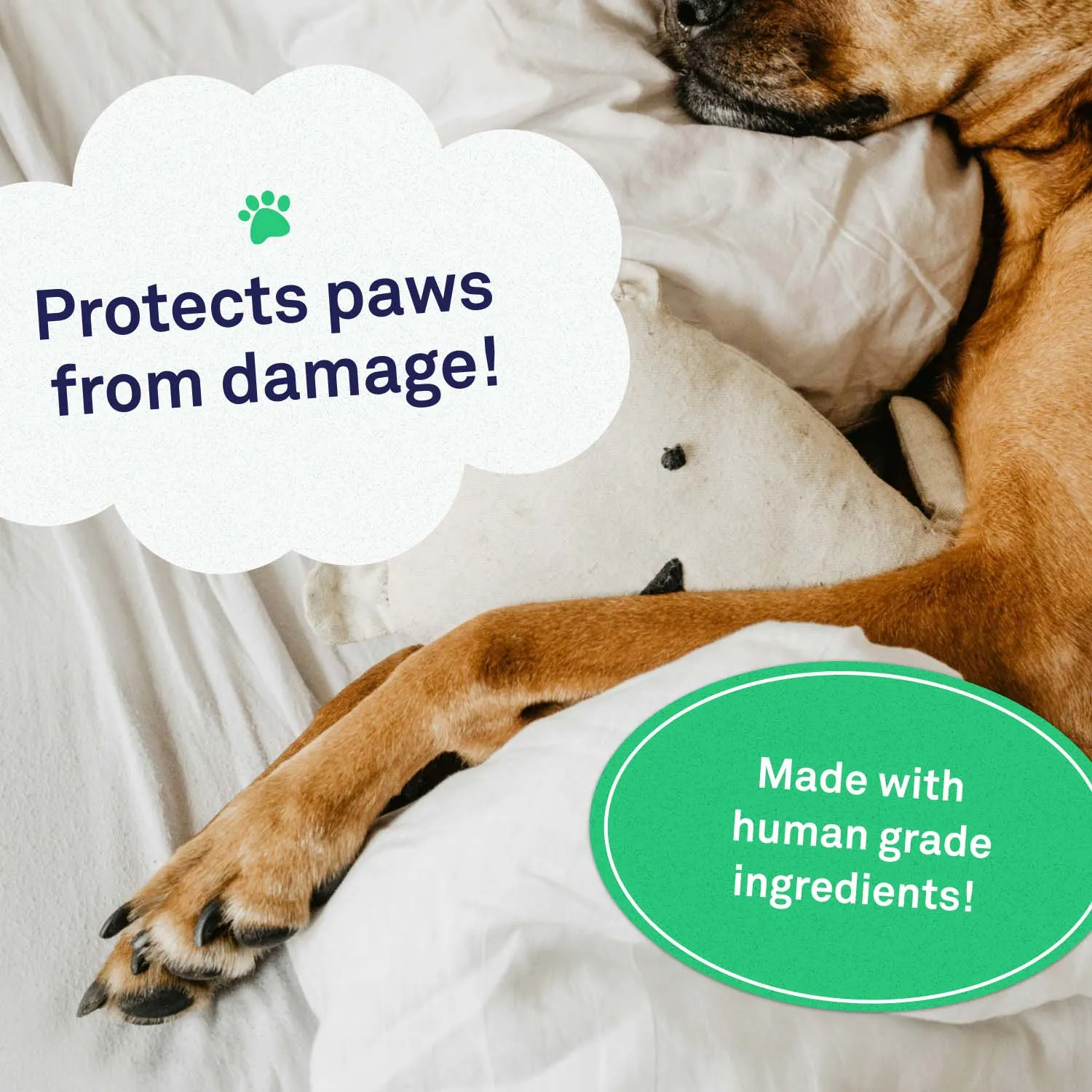 Paw Protect