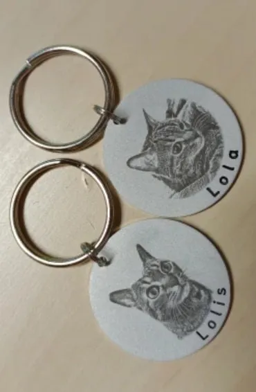 Personalised Pet ID, Custom Pet ID, Dog Name Tag, Pet ID tag, Dog Tag, Dog Keytag, Dog Keychain, Dog keyring, Dog id tag, Cat Collar Tag