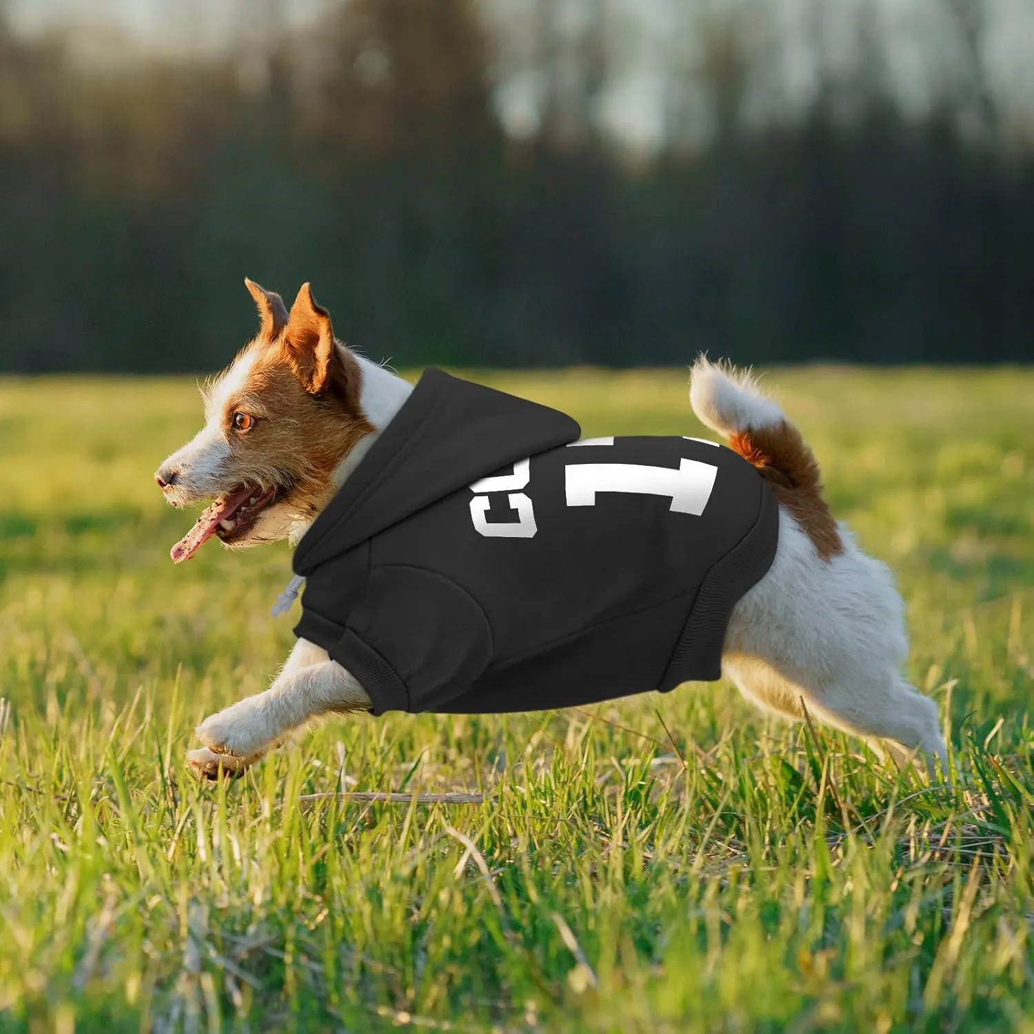 Personalized Dog Hoodie, Fleece Dog Hooded Jersey, Custom Pet Warm Pullover Sweatshirt with Name & Number, ID Clothes for Chihuahua Pupppy Kitten(Medium Black)