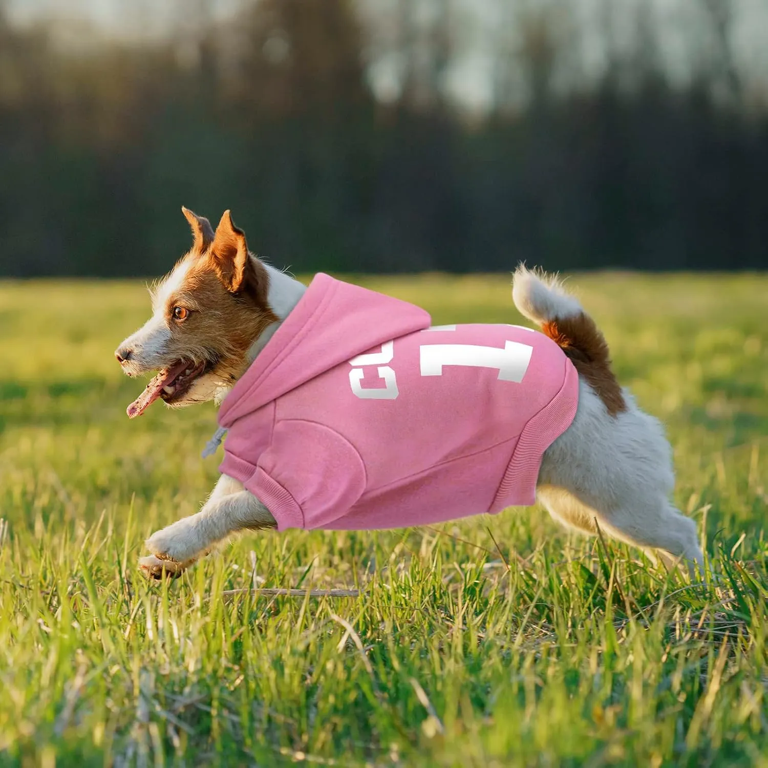 Personalized Dog Hoodie, Fleece Dog Hooded Jersey, Custom Pet Warm Pullover Sweatshirt with Name & Number, ID Clothes for Chihuahua Pupppy Kitten(Medium Pink)