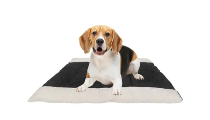 Pet Cat Dog Sleep Bed 2 in 1 Pet Mat