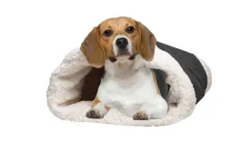 Pet Cat Dog Sleep Bed 2 in 1 Pet Mat