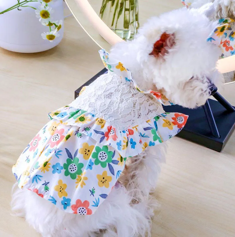 Pet dog cat spring and summer new skirt
