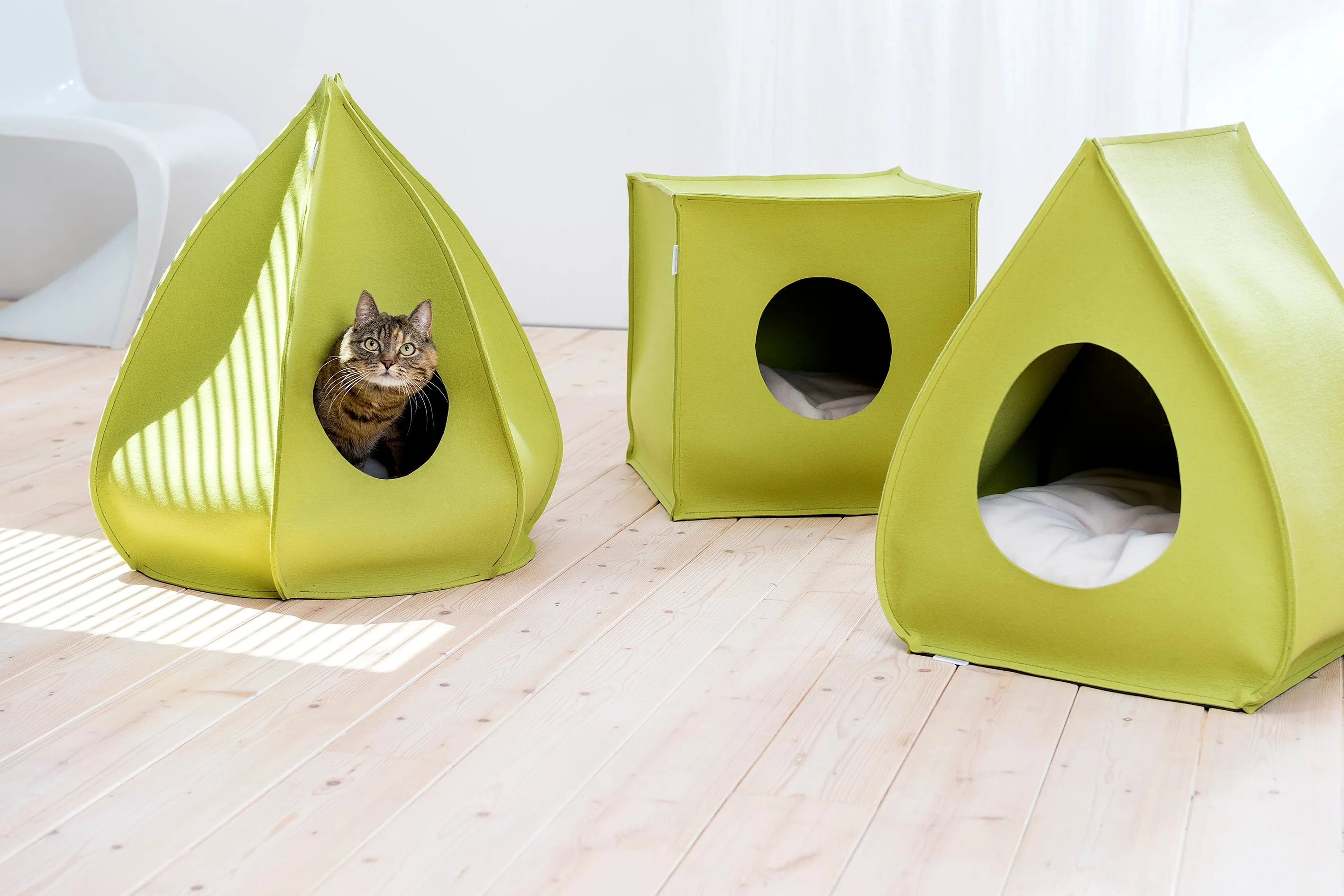 Pet House Mood (Cream)
