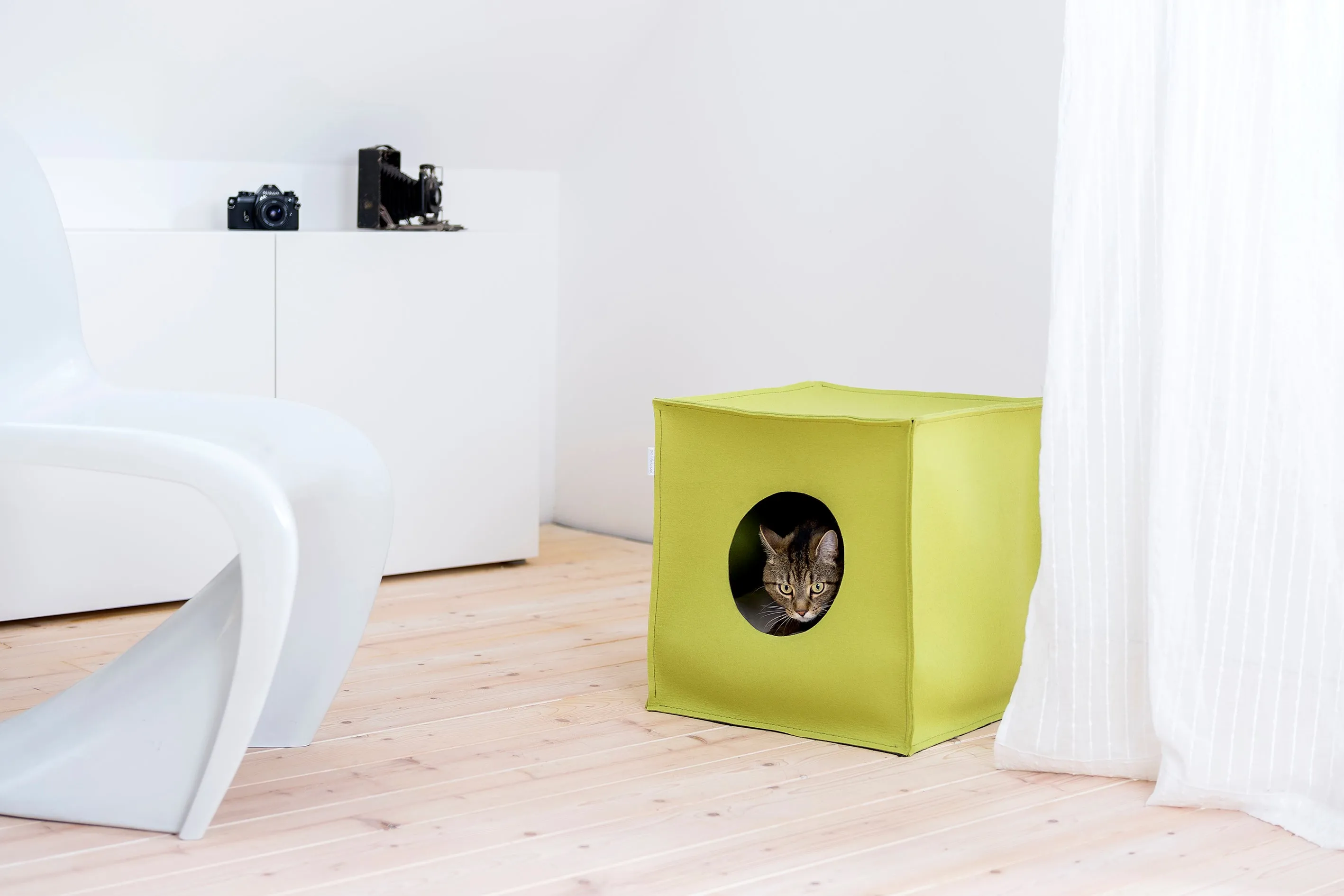 Pet House Mood (Cream)