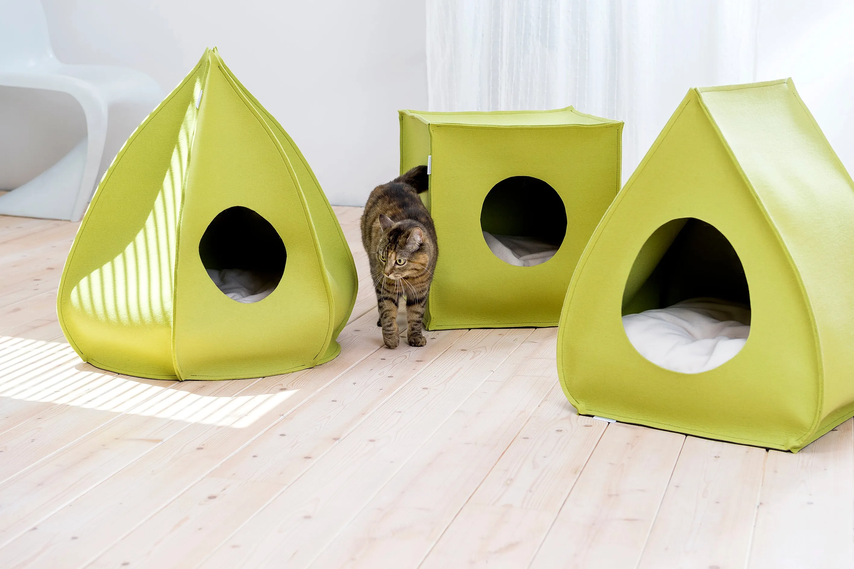 Pet House Mood (Cream)