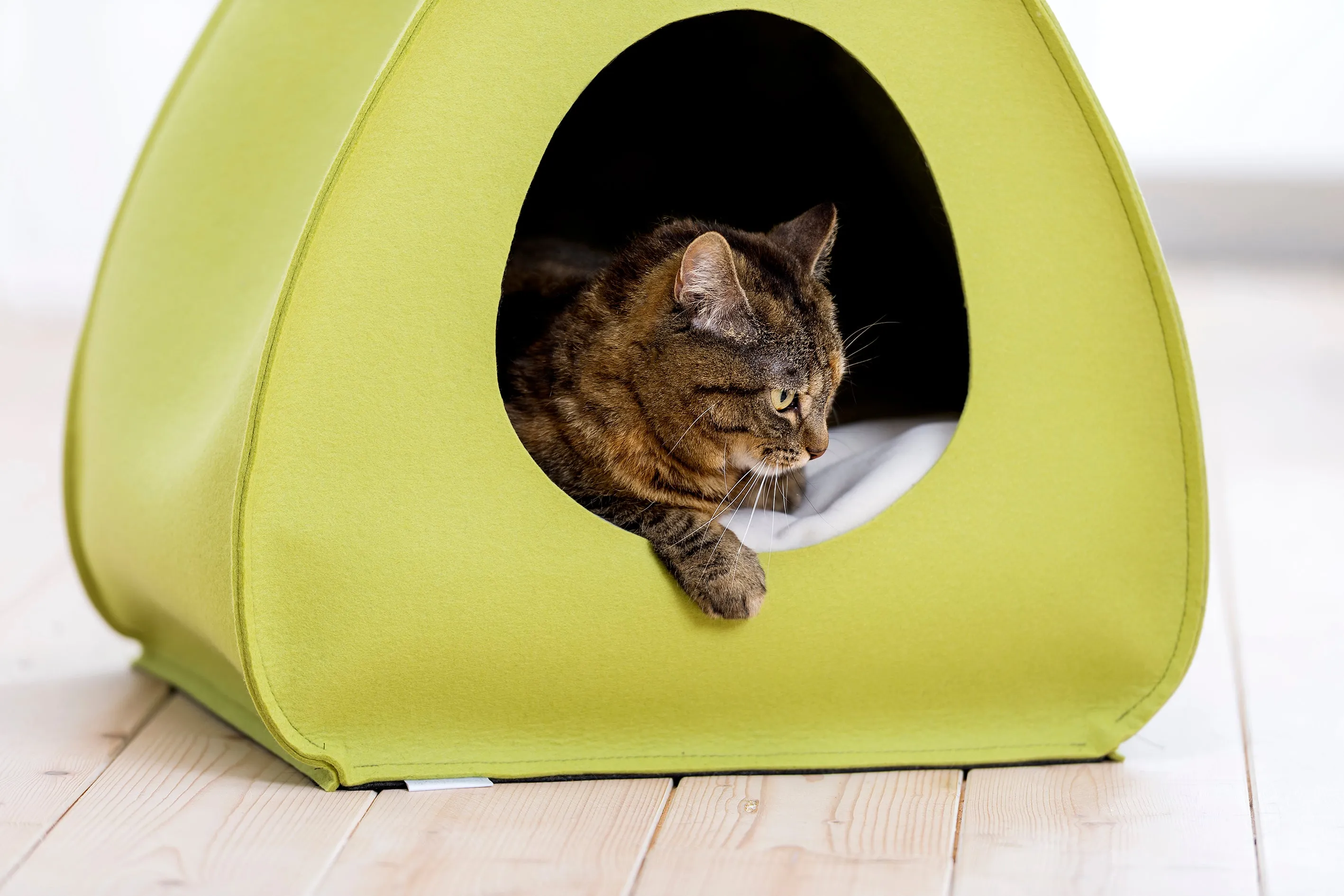Pet House Pina (Anthracite)