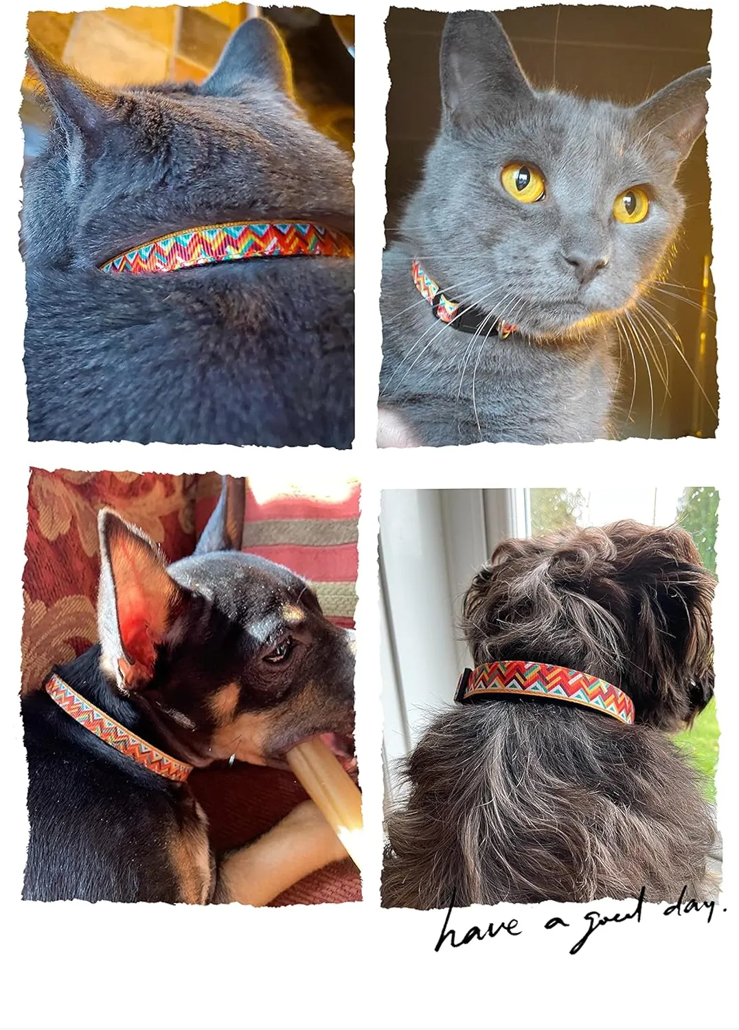 Pet Supplies, (Machu Picchu) Cat Collar, Dog Collar, Cat Leash, Dog Leash, Cat Harness, Dog Harness, Small Dog Collar, Medium Dog Collar, Large Dog Collar (Pet Collar, XS)