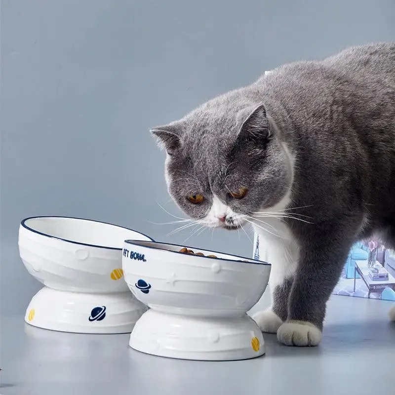 Planet Series Elevated Ceramic Pet Bowl