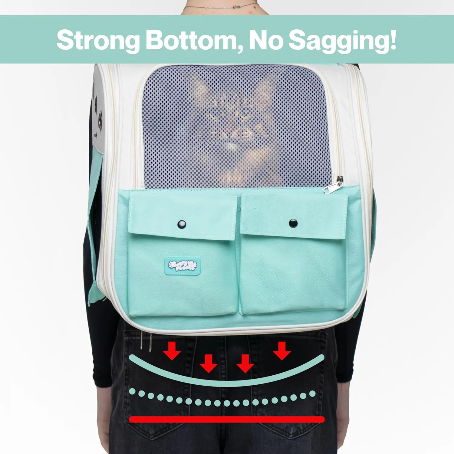 Portable Cat Carrier Backpack  Soft-Sided Travel Pet Backpack for Cats & Small Dogs, Breathable & Comfortable Bag Pet Carrier for Kittens & Puppies, Airline Friendly Pet Travel Carrier (Turquoise)