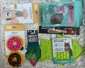 Purr-fect Christmas Cat Gift Box