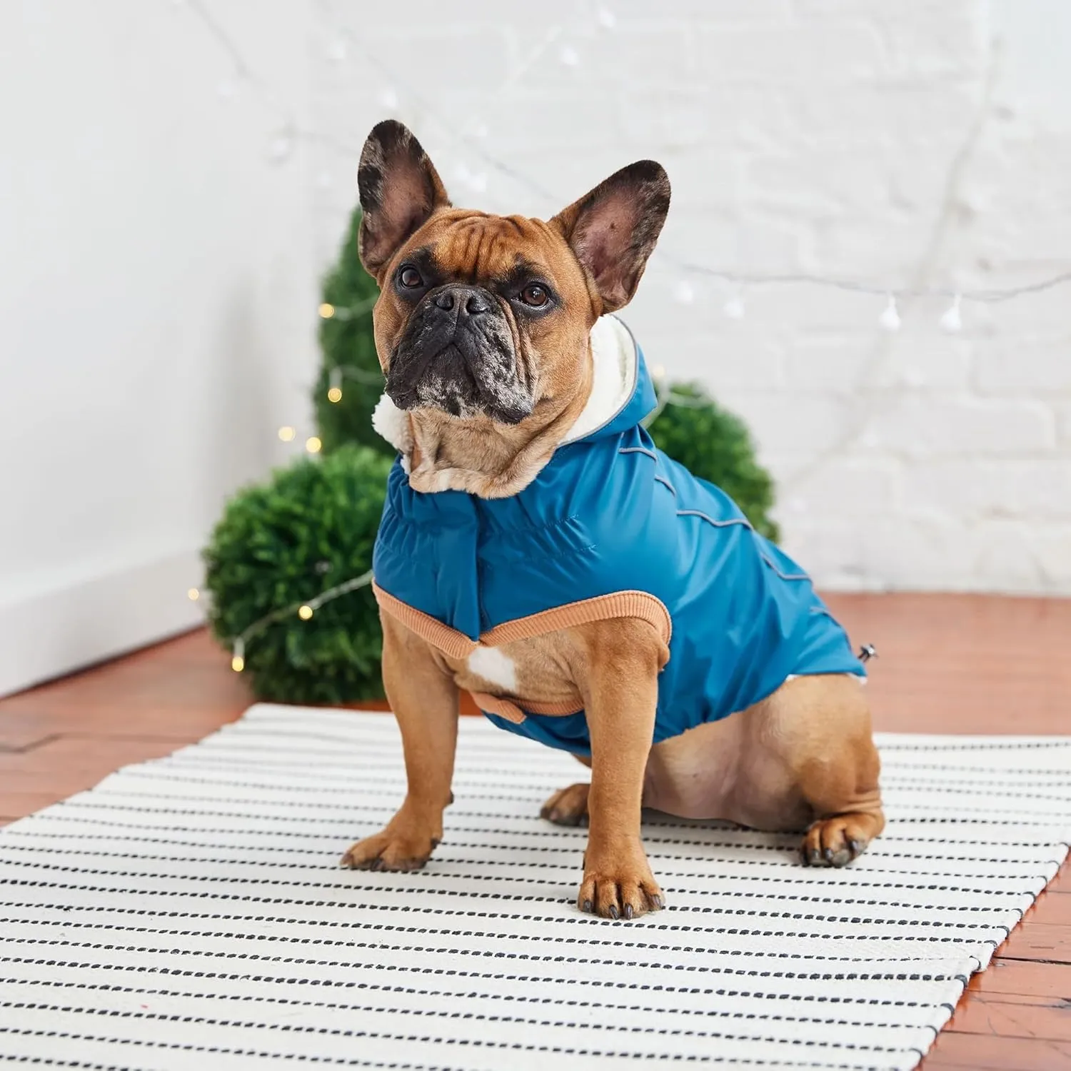 Raincoat for Dogs | Insulated & Reflective Waterproof Dog Rain Coat Jacket with Adjustable Hood, Neck, Chest | Comfortable & Easy-On Dog Rain Coats for Pets - Dark Blue - Large