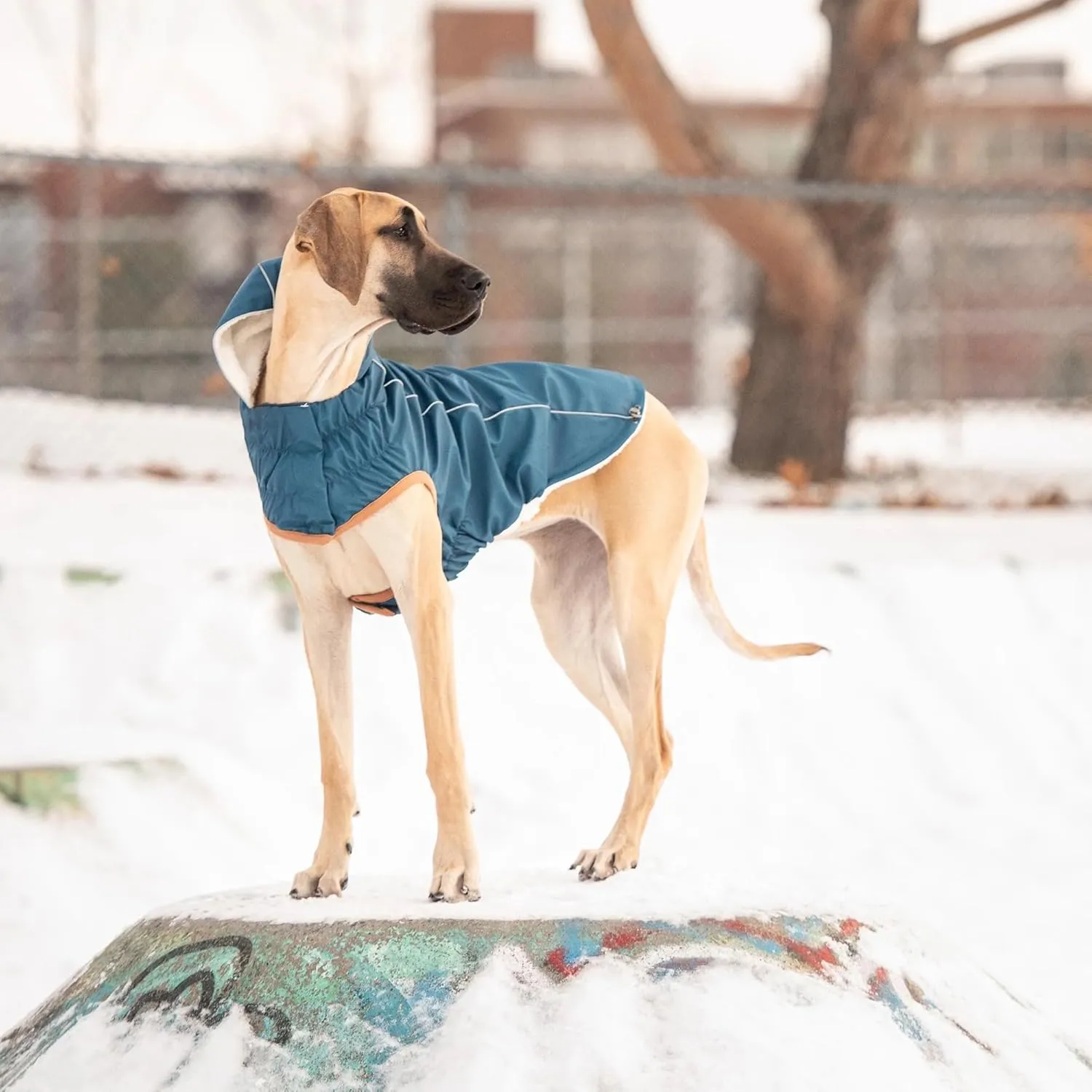 Raincoat for Dogs | Insulated & Reflective Waterproof Dog Rain Coat Jacket with Adjustable Hood, Neck, Chest | Comfortable & Easy-On Dog Rain Coats for Pets - Dark Blue - Large