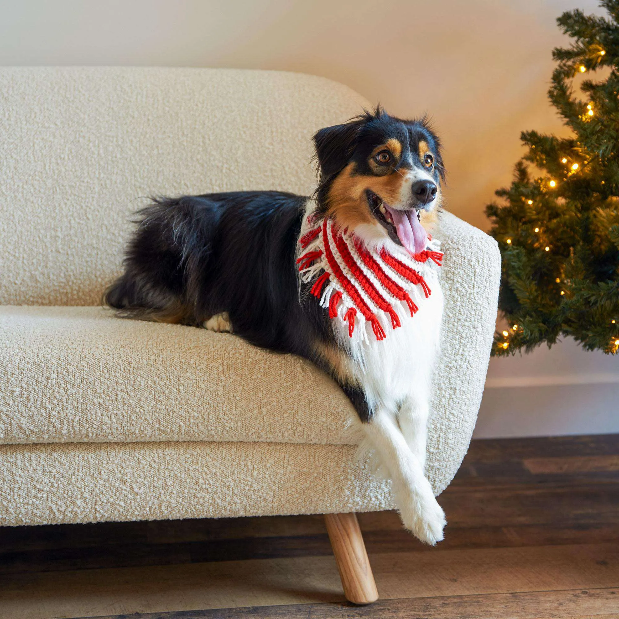 Red Heart Peppermint Crochet Pet Neckerchief