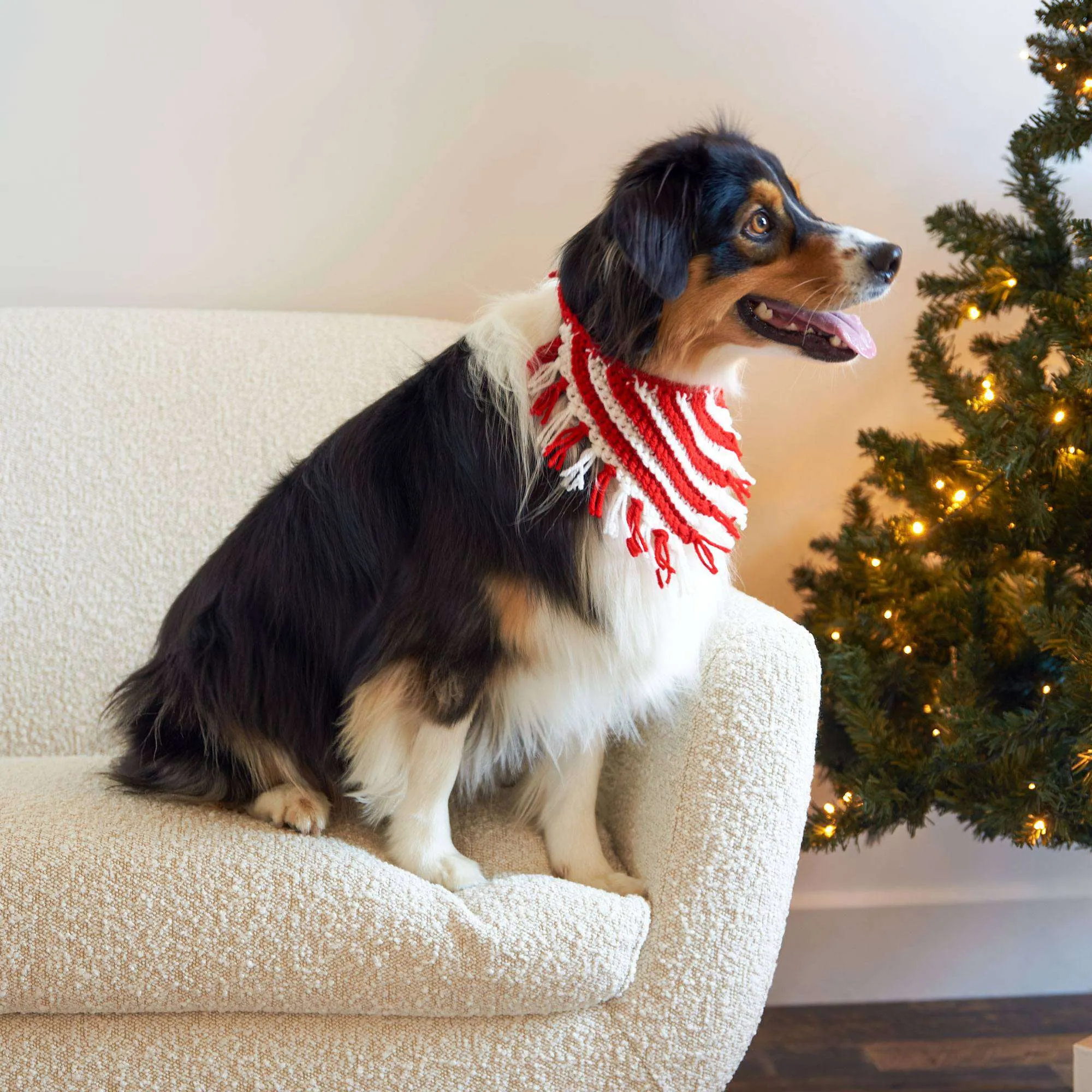 Red Heart Peppermint Crochet Pet Neckerchief