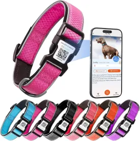 Reflective Dog Collar for Small Dogs, Soft Neoprene Padded Oxford Cloth Pet Collars with Safty Buckle & QR Code Pet ID Tag,Rose Red S