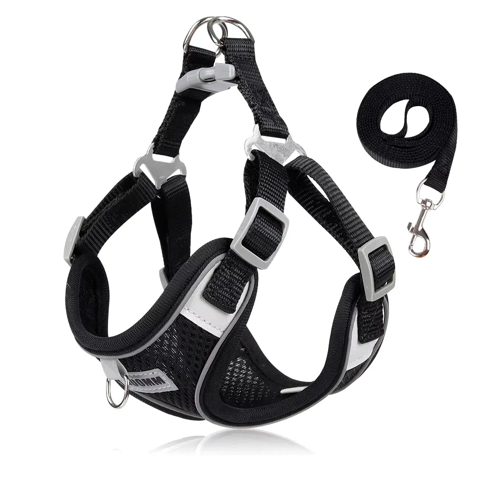 Reflective Dog Harness & Leash Set – Outdoor Walking Vest for Small to Medium Pets