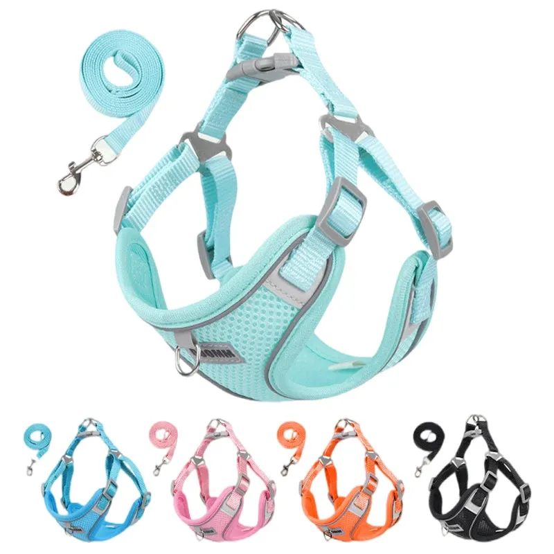 Reflective Dog Harness & Leash Set – Outdoor Walking Vest for Small to Medium Pets