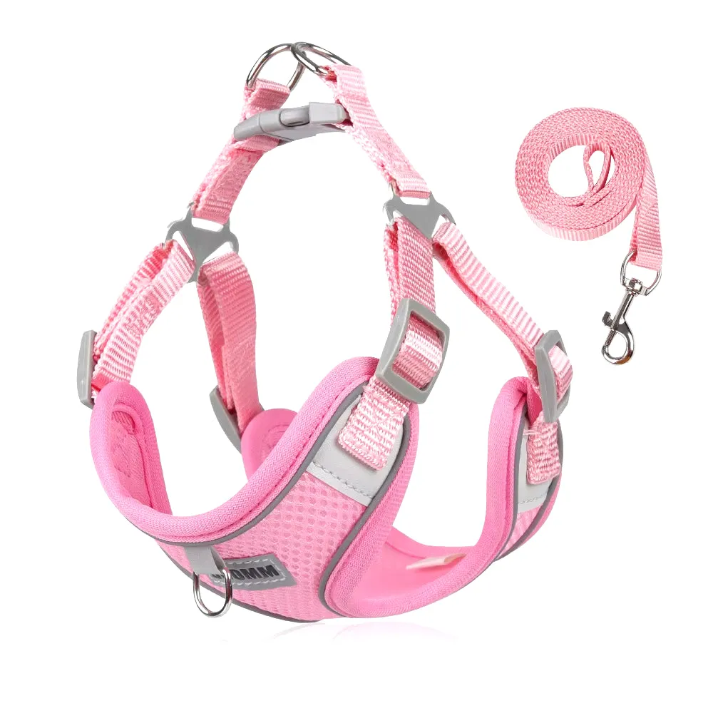 Reflective Dog Harness & Leash Set – Outdoor Walking Vest for Small to Medium Pets