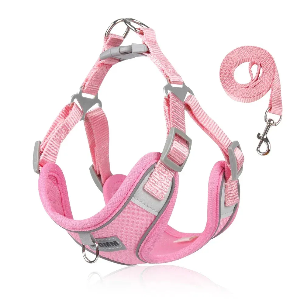 Reflective Dog Harness & Leash Set – Outdoor Walking Vest for Small to Medium Pets