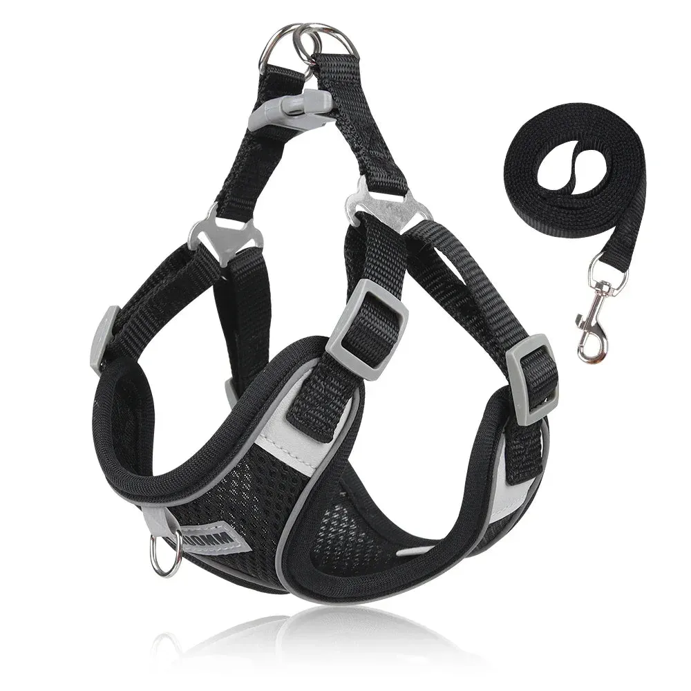 Reflective Dog Harness & Leash Set – Outdoor Walking Vest for Small to Medium Pets