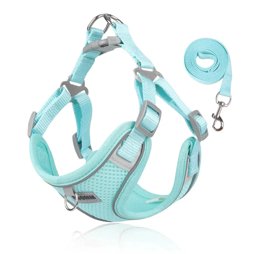 Reflective Dog Harness & Leash Set – Outdoor Walking Vest for Small to Medium Pets