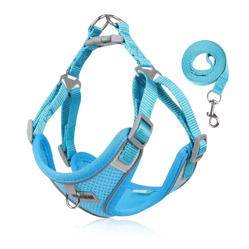 Reflective Dog Harness & Leash Set – Outdoor Walking Vest for Small to Medium Pets