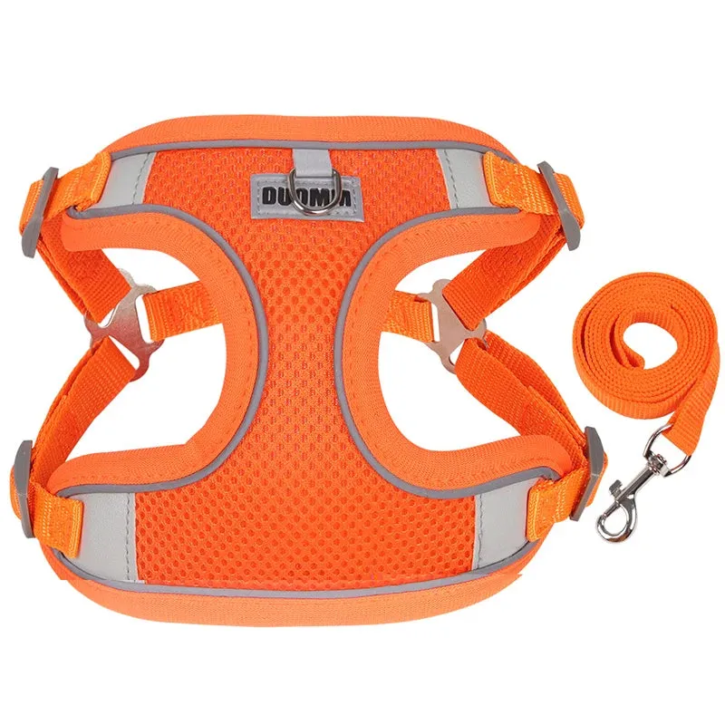 Reflective Dog Harness & Leash Set – Outdoor Walking Vest for Small to Medium Pets
