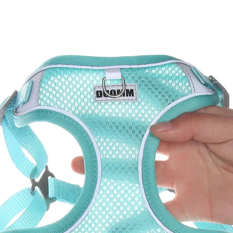 Reflective Dog Harness & Leash Set – Outdoor Walking Vest for Small to Medium Pets