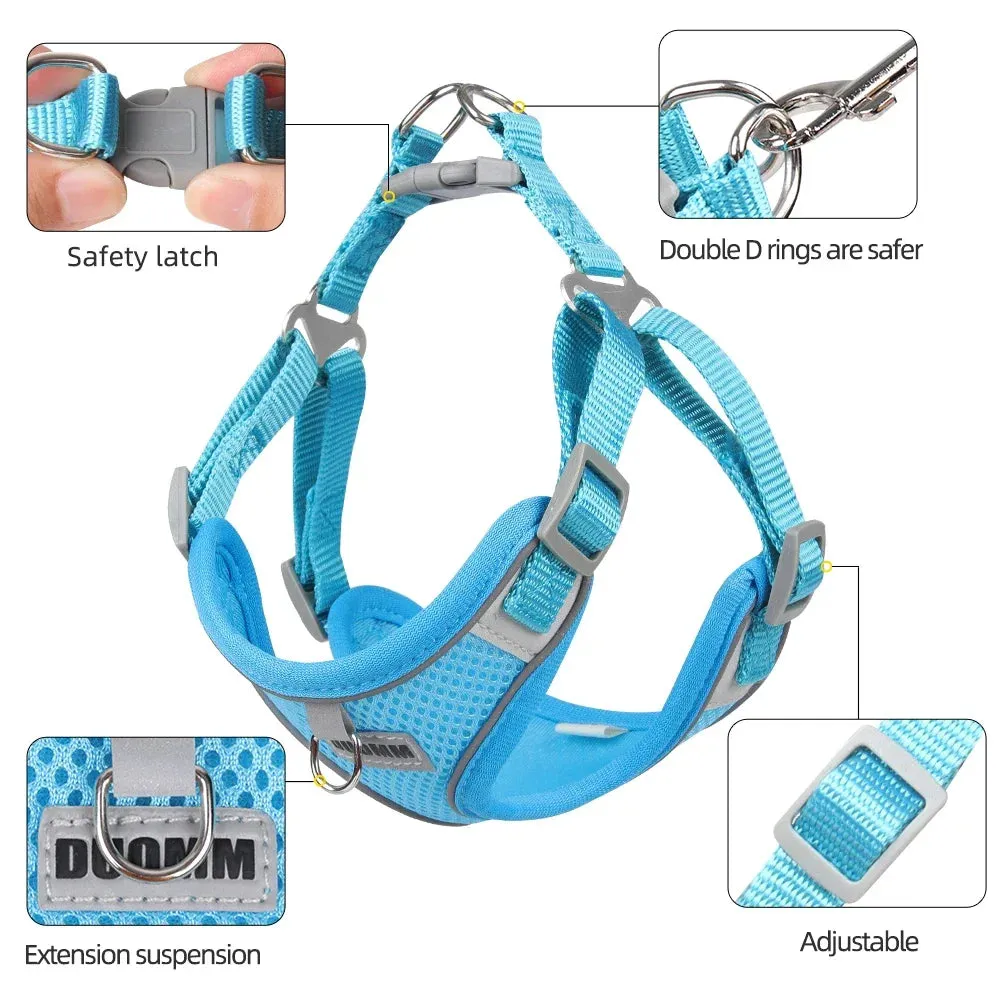 Reflective Dog Harness & Leash Set – Outdoor Walking Vest for Small to Medium Pets